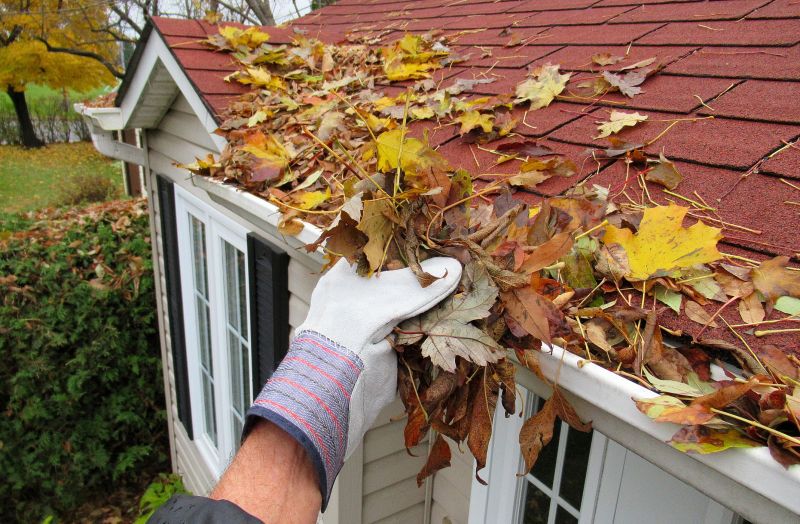 Local Gutter Service Providers